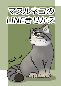 マヌルネコのLINEきせかえ