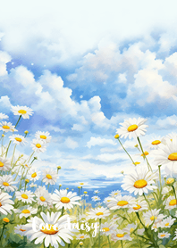 White daisy field1