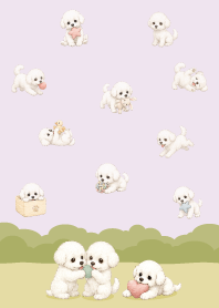 Cute happy bichon frise dog/purple