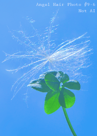 Angel Hair Photo#9-6Not AI