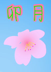 卯月