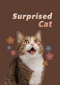Surprised cat and cute flowers | Brown