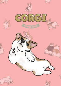 corgicorgi8 - coral