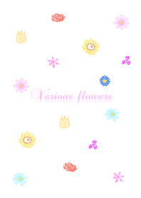 Various color flowers