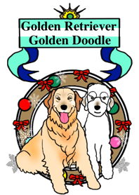 Golden Retriever & Golden Doodle