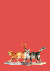 two cats on red