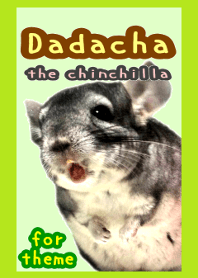 Dadacha the chinchilla for theme