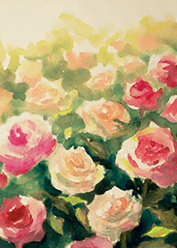 Beautiful rose flower(R4616)