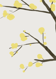 Yellow plum