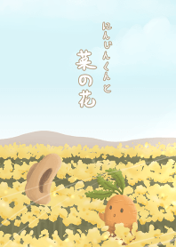 蘿蔔與油菜花田