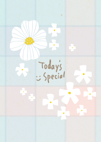 Check lots of white flowers25 from Japan