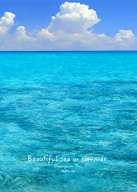 Beautiful sea in summer5