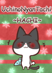 UchinoNyantachi~HACHI~