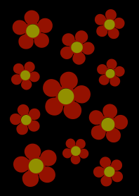 Cute Flowers No.1-B19