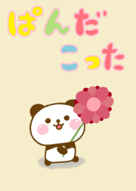 Panda Kota Cute Adult