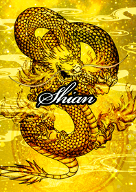 Shian Golden Dragon Money luck UP