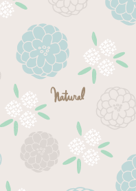 Many round flowers2 from Japan