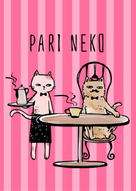 Paris cat