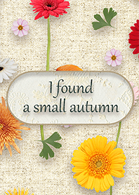 I found a small autumn -autumn flower-