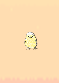 Simple chick 30