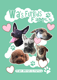 Wa's Furkids Family!The most Lovely