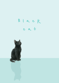 Black cat - green theme