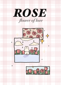 ROSE ; flower of love