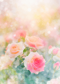 Beautiful rose flower(R1640)