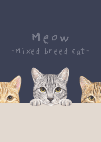 Meow-Mixed breed cat 03-DUSTY NAVY