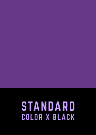 STANDARD COLOR X BLACK THEME 163