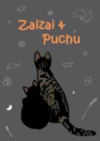 zaii