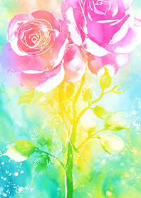 Beautiful rose flower(R2017)