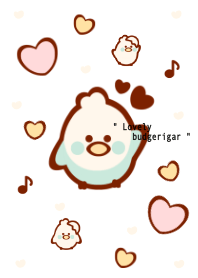 Little budgerigar theme 8