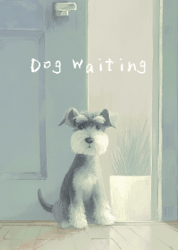 Dog Waiting - シュナウザー - 朝