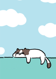 Super Lazy Cat