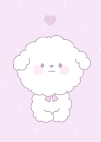 my puppy Bichon _purple