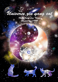 運気上昇 Universe yin yang cat
