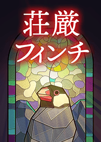 荘厳フィンチ（ノーマル文鳥）