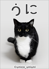うに