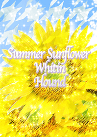 夏のひまわりホワイティンハウンド