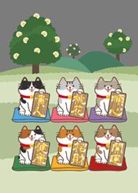 แมวนำโชคในป่า！(หมอกสีเทา)