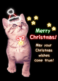 ☆ Christmas 2019 ☆ 10