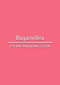 Buganvillea