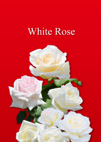 "White Rose 2" theme