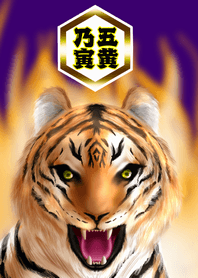 Year of Tige <The economic fortune> 1