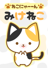 cat-4-