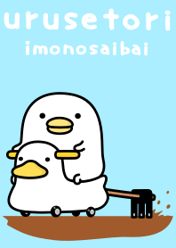 うるせぇトリ★芋の栽培