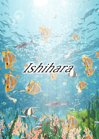 Ishihara Coral & tropical fish