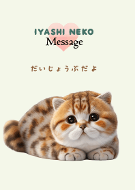 癒し猫メッセージ_002　だいじょうぶだよ