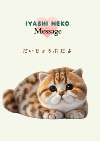 Cat message 002